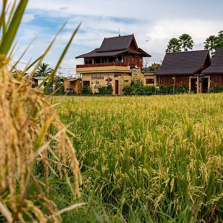 Barong Bali Villas อูบุด ภายนอก รูปภาพ