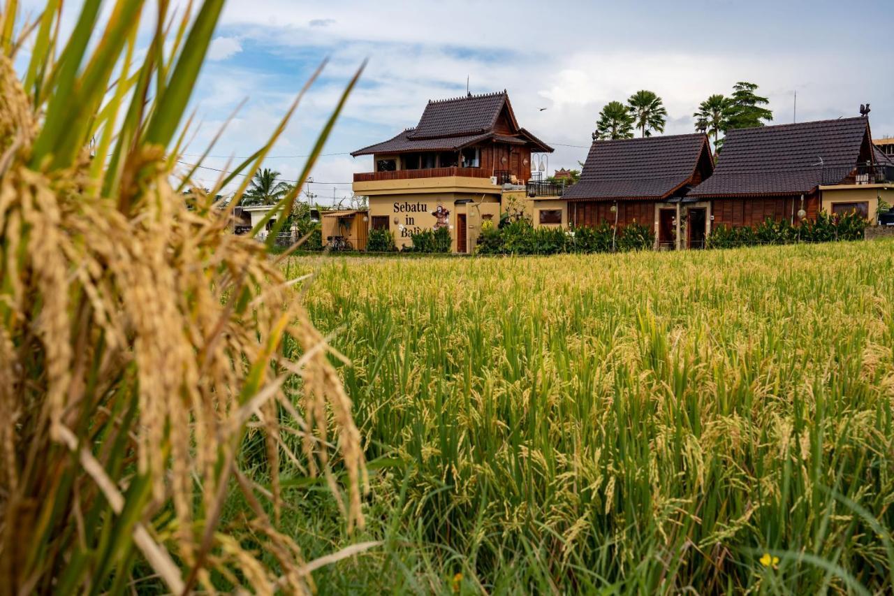 Barong Bali Villas อูบุด ภายนอก รูปภาพ