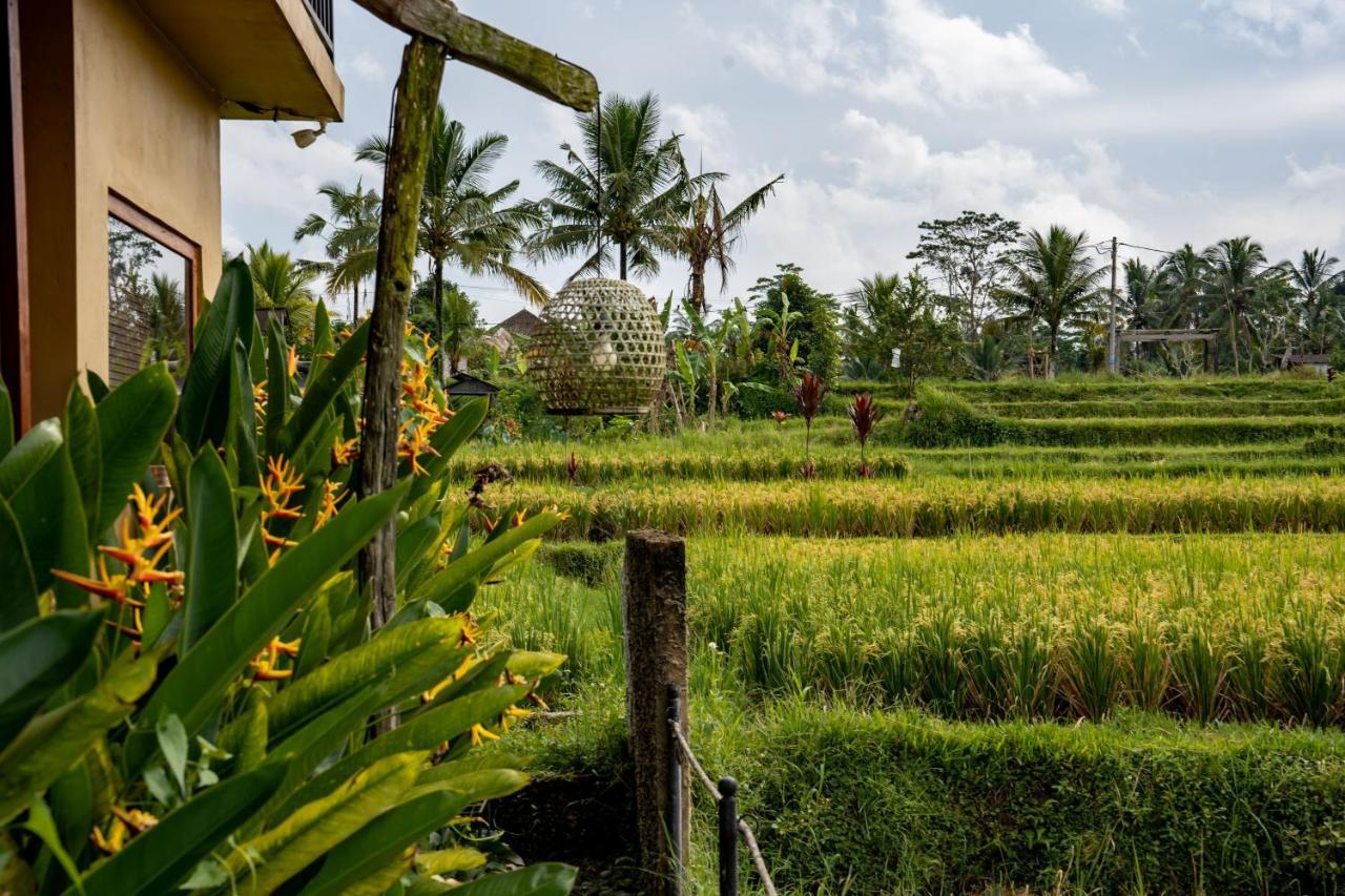 Barong Bali Villas อูบุด ภายนอก รูปภาพ